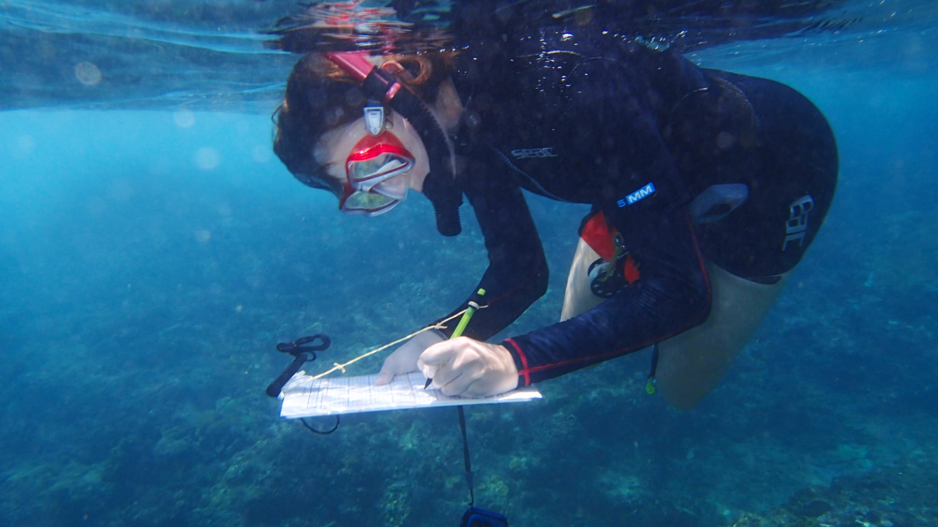 Dr Sally Keith conducts an underwater survey
