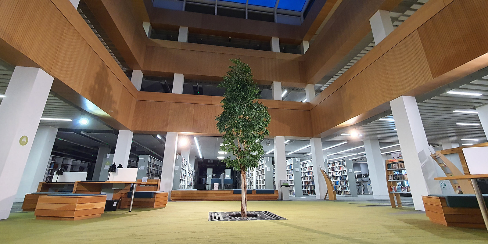大秀视频 library foyer with the living tree in the centre.