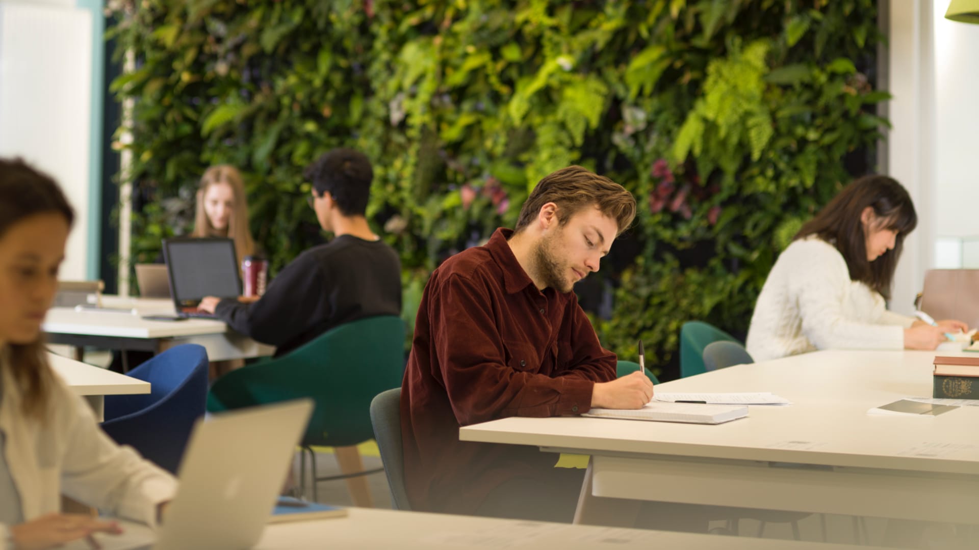 Students study in the Library, in front of a green wall filled with plants